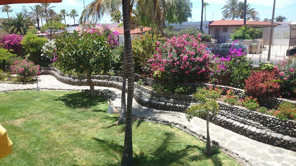 Club Canario Playa del Ingles  Room photo