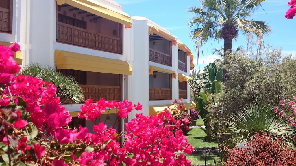 Club Canario Playa del Ingles  Room photo