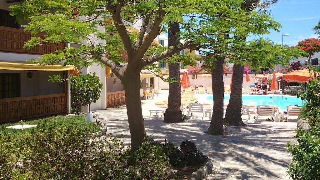 Club Canario Playa del Ingles  Room photo